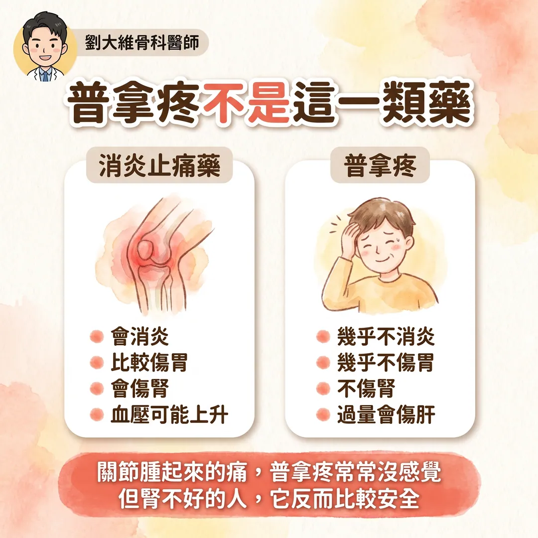 NSAID 類止痛藥全解析：常見種類、與普拿疼的差別、傷腎機轉與替代方案 衛教圖 4