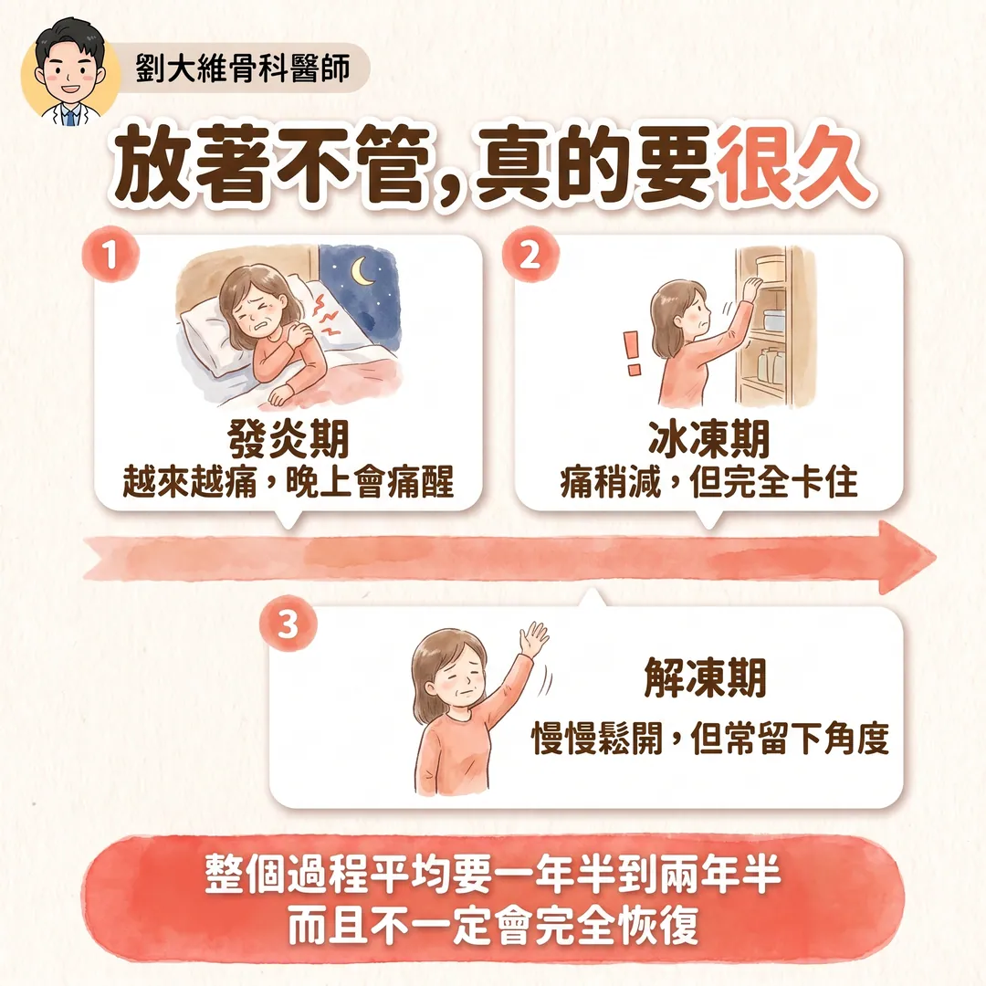 五十肩無聲鬆動術（Silent Manipulation）完整整理 衛教圖 4