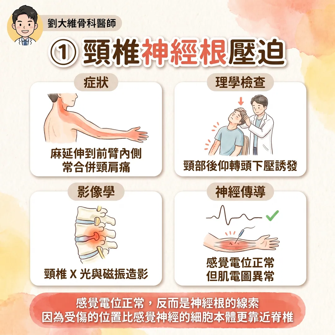小指與無名指麻木的鑑別診斷 衛教圖 4