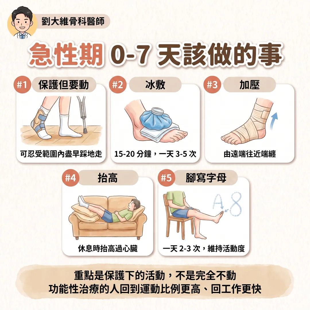 腳踝韌帶撕裂後怎麼復健？急性期、復健期，還有 PRP 到底什麼時候該打 衛教圖 4