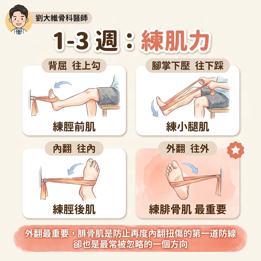 腳踝韌帶撕裂後怎麼復健？急性期、復健期，還有 PRP 到底什麼時候該打 衛教圖 6