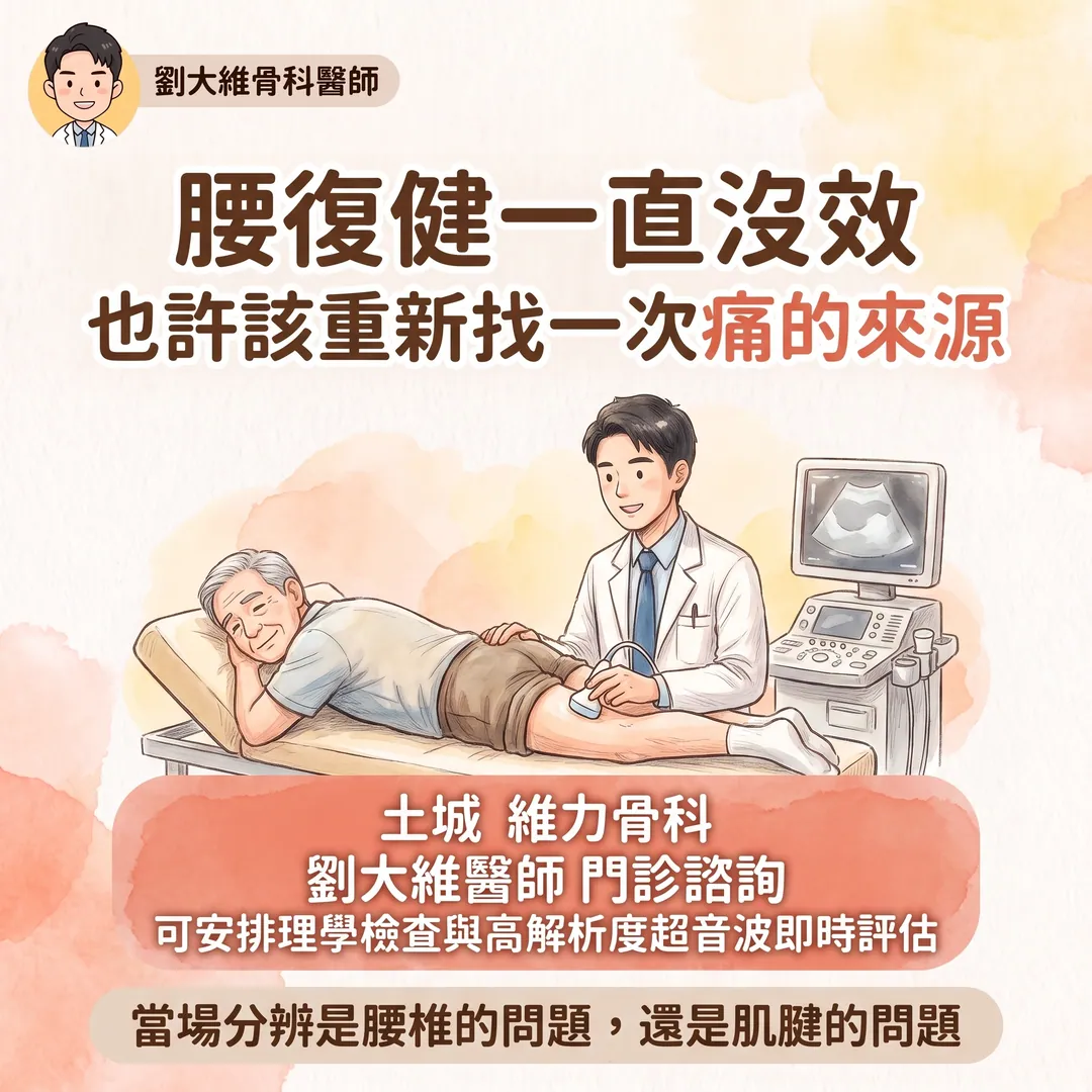 近端腿後肌腱病變（高位腿後肌拉傷）為什麼常被誤診為腰椎椎間盤突出 衛教圖 11