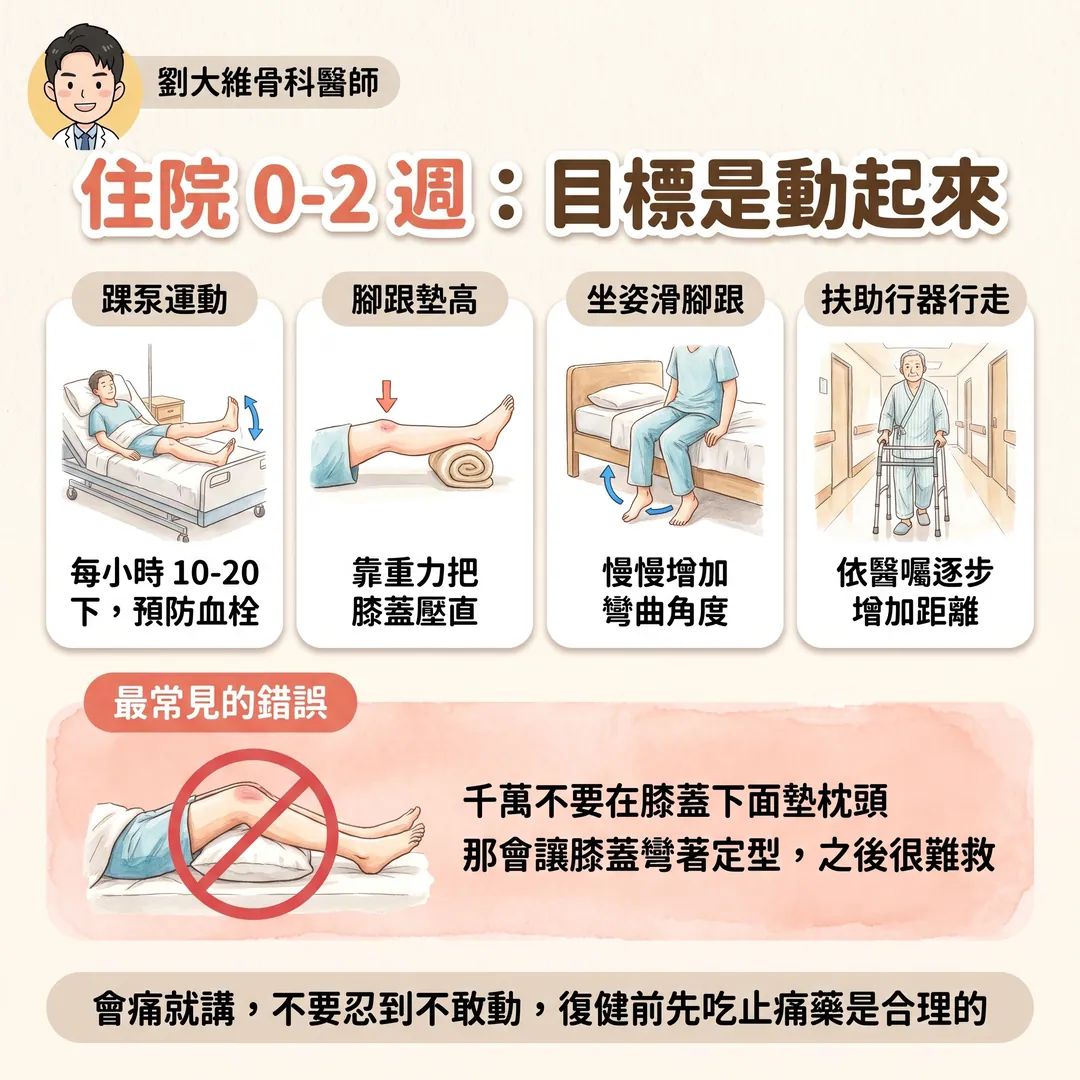 膝關節置換術後的復健計畫：一份從術前到半年的完整時間表 衛教圖 4