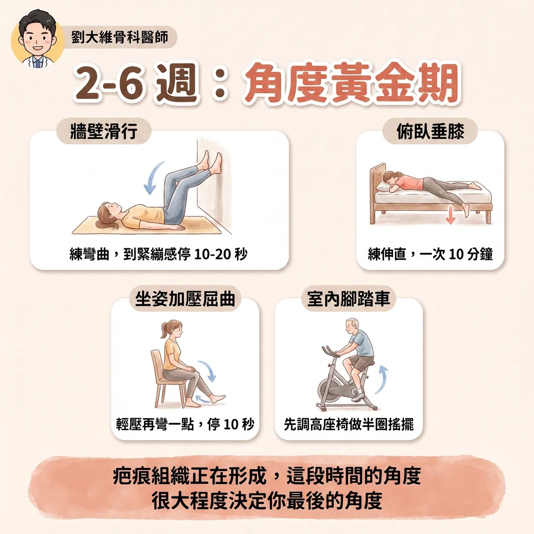 膝關節置換術後的復健計畫：一份從術前到半年的完整時間表 衛教圖 5